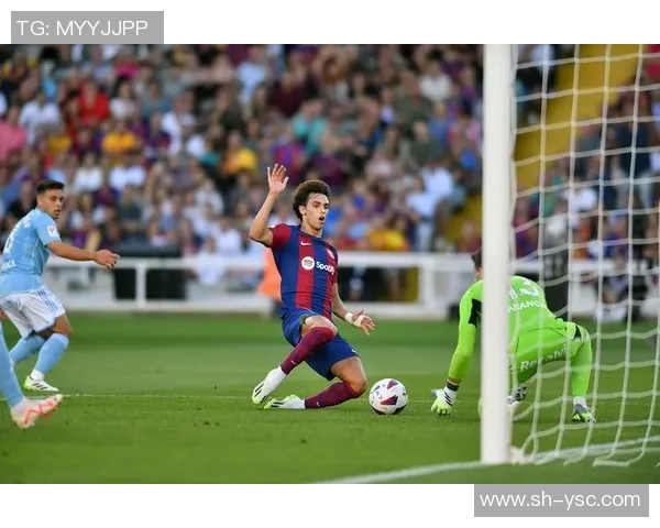 莱万的传奇之路：从天才少年到足坛巨星的辉煌历程