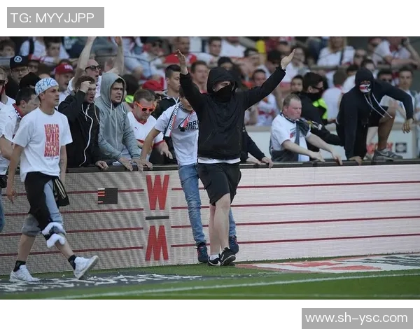 灰熊与蓝网激战正酣球员表现引发球迷热议与期待