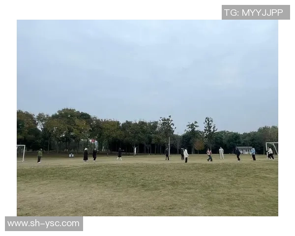飞盘纪实：见证杭州飞盘队从默默无闻到崭露头角的奋斗历程